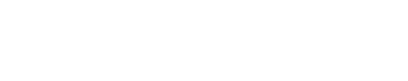 expert-1